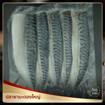 ปลาซาบะดองใหญ่ “โอคุโชวฮิน” ศูนย์จำหน่ายขายส่งวัตถุดิบซูชิทุกประเภท ทั้งขายส่งและขายปลีก