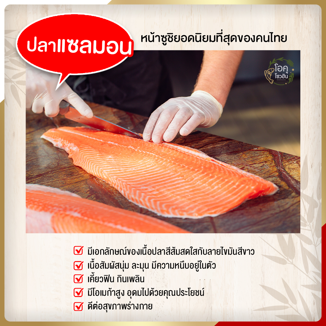 4 ปลาสุตฮิตที่นำมาเป็นวัตถุดิบซูชิ2 โอคุโชวฮิน ศูนย์จำหน่ายขายส่งวัตถุดิบซูชิทุกประเภท ทั้งขายส่งและขายปลีก