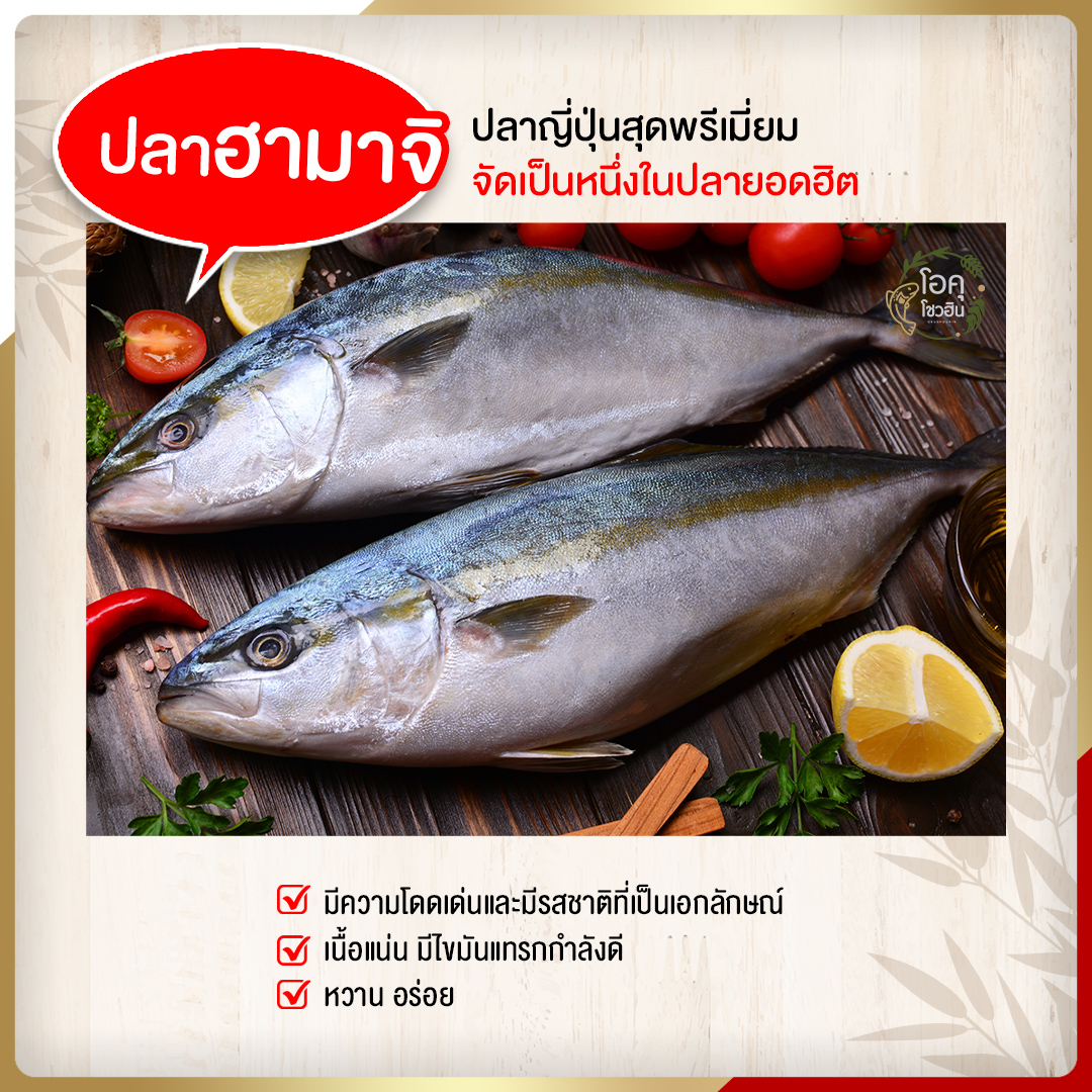 4 ปลาสุตฮิตที่นำมาเป็นวัตถุดิบซูชิ5 โอคุโชวฮิน ศูนย์จำหน่ายขายส่งวัตถุดิบซูชิทุกประเภท ทั้งขายส่งและขายปลีก