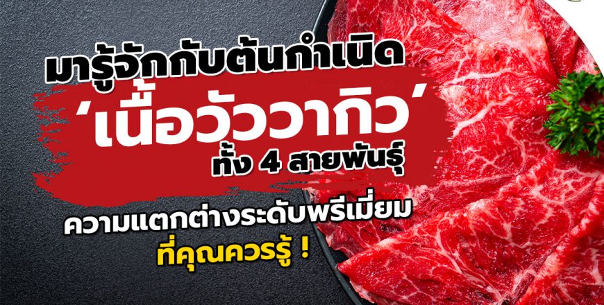 มารู้จักกับต้นกำเนิด ‘เนื้อวัววากิว’-1 “โอคุโชวฮิน” ศูนย์จำหน่ายขายส่งวัตถุดิบซูชิทุกประเภท ทั้งขายส่งและขายปลีก