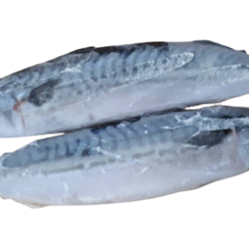 ปลาซาบะนอร์เวย์