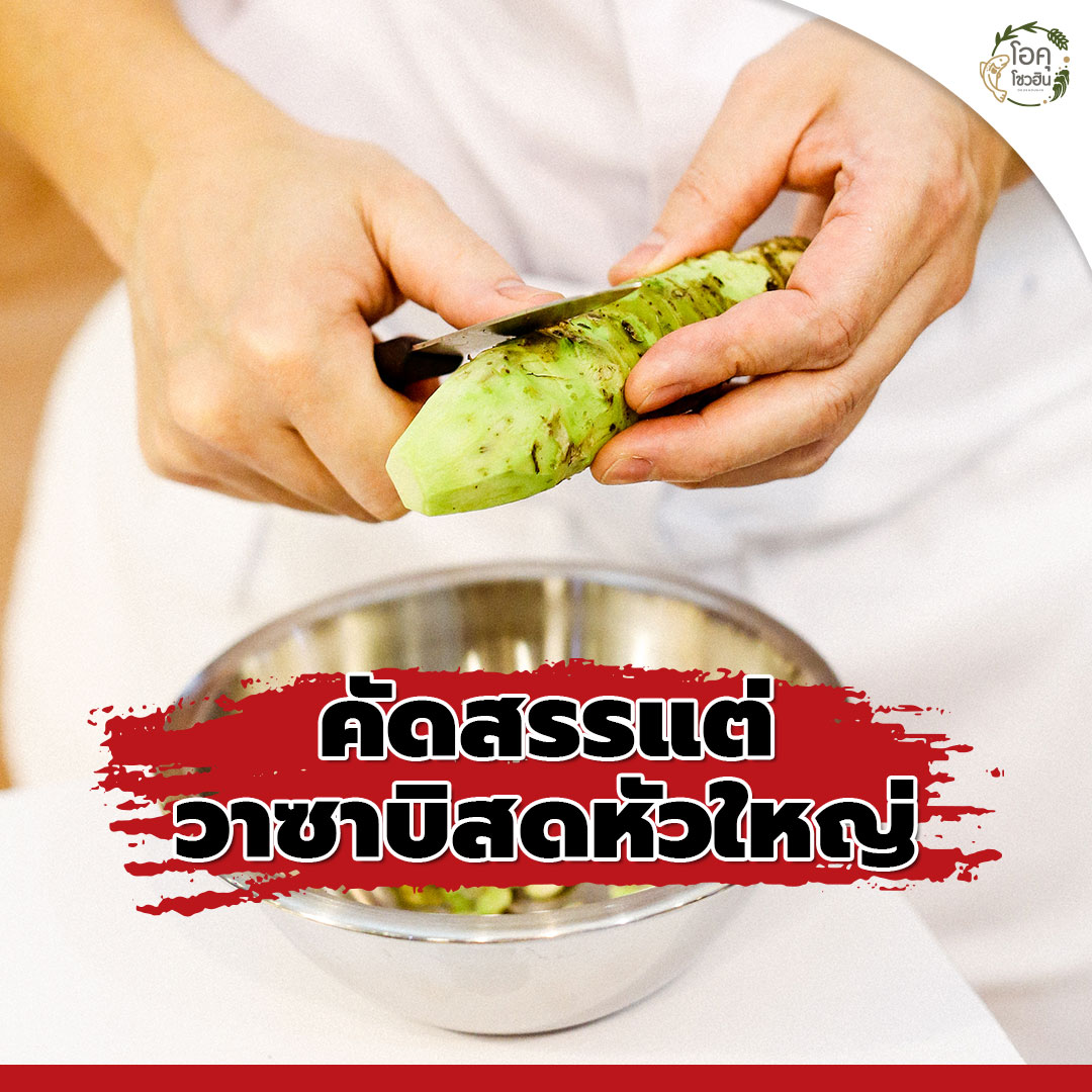 วาซาบิสด “โซเรียวริ”-2 “โอคุโชวฮิน” ศูนย์จำหน่ายขายส่งวัตถุดิบซูชิทุกประเภท ทั้งขายส่งและขายปลีก