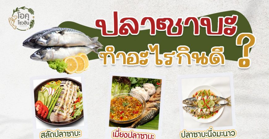 ปลาซาบะนำไปทำอะไรกินดี_thumbnail