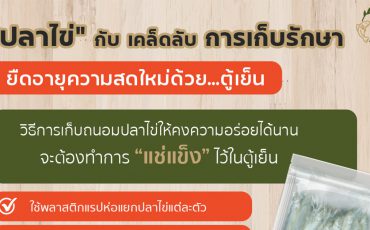 วิธีเก็บรักษาปลาไข่