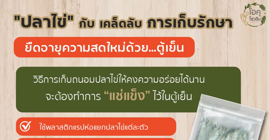 วิธีเก็บรักษาปลาไข่