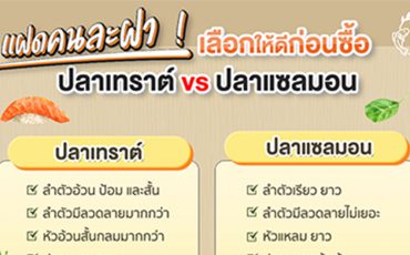 ปลาเทราต์-vs-ปลาแซลมอน-เลือกให้ดีก่อนซื้อ