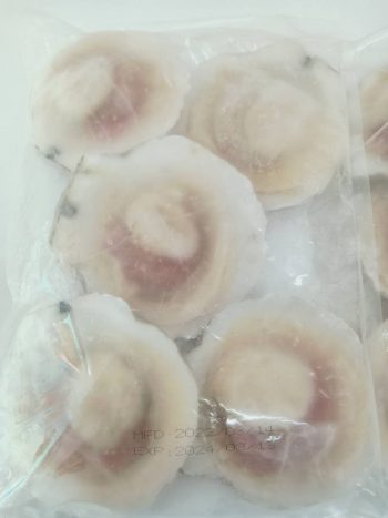 หอยเชลล์ญี่ปุ่นพร้อมเปลือก 1 กิโลกรัม
